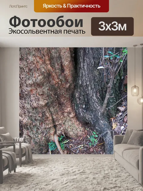 Фотообои два ствола дерева растут вместе