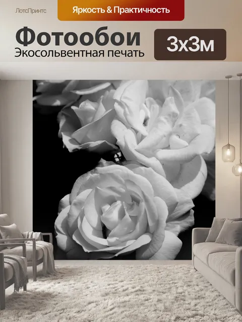 Фотообои Красивая роза