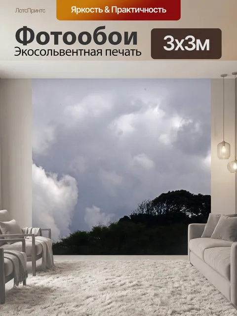 Фотообои скопление деревьев на холме