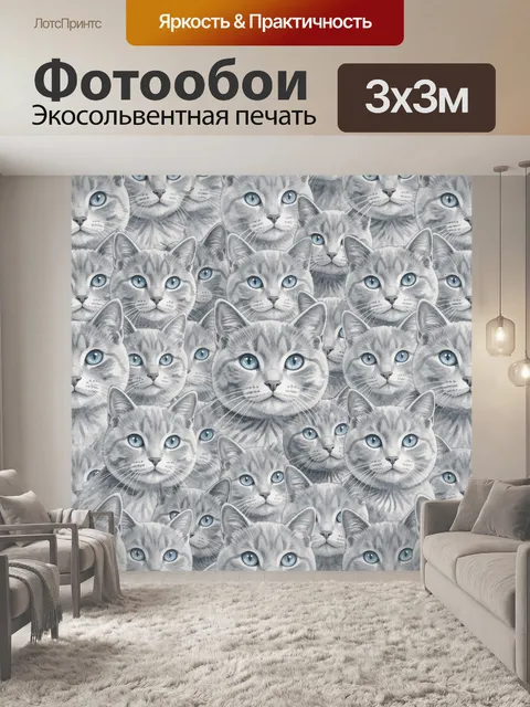 Фотообои Серые коты с голубыми глазами