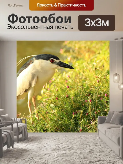 Фотообои Птица