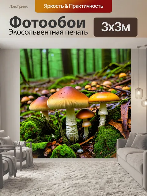 Фотообои грибы микология: лесная поляна с разноцветными съедобными и ядовитыми грибами