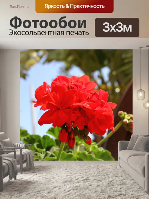 Фотообои Цветы