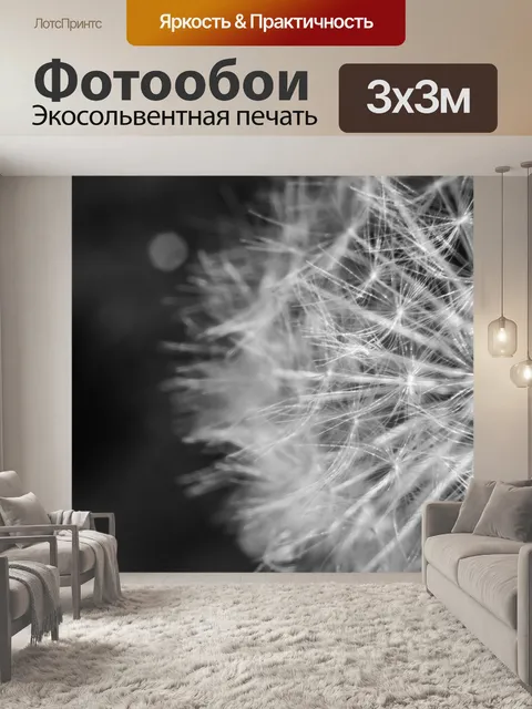 Фотообои Одуванчик