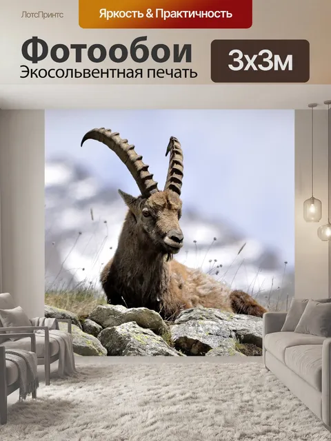 Фотообои Горный козел