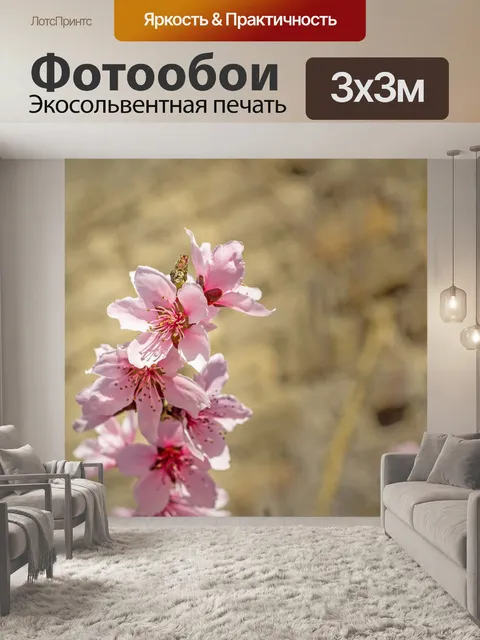 Фотообои Розовые цветы