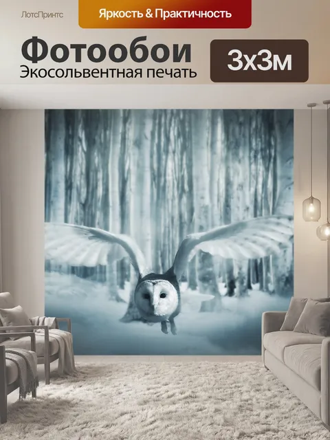 Фотообои Сова