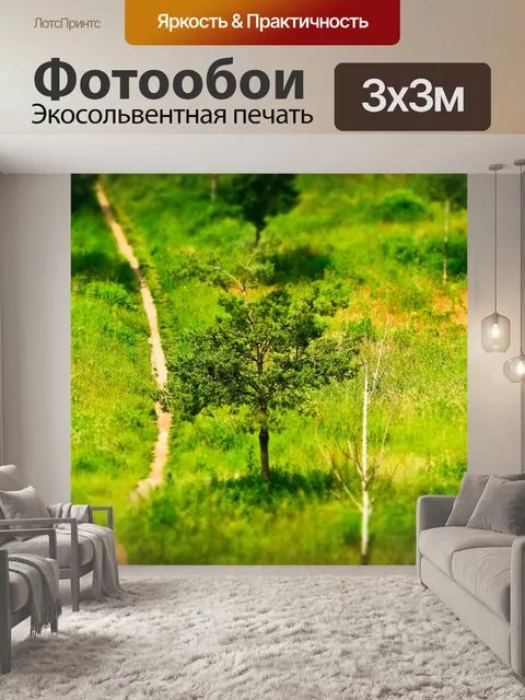 Фотообои Дорожка