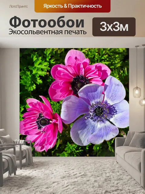 Фотообои Анемоны