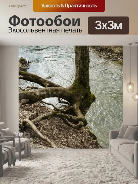 Фотообои Гаджа-патак