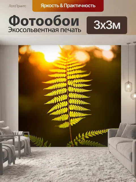 Фотообои папоротник в боке на фоне золотого заката