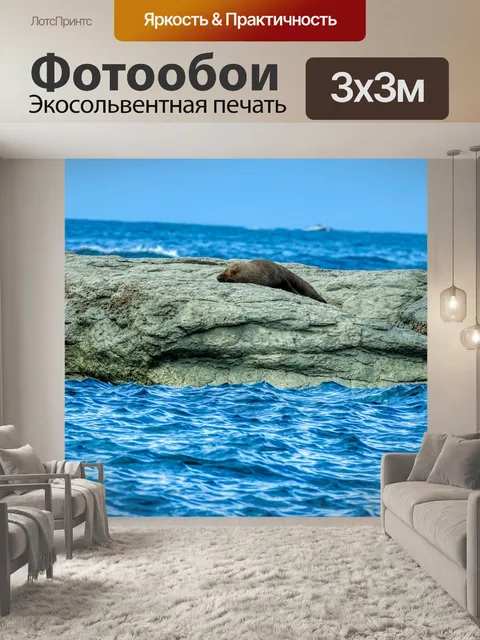 Фотообои Морской лев