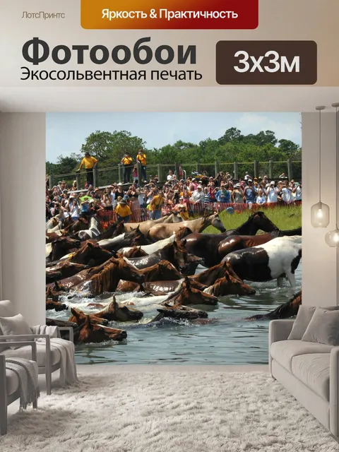 Фотообои Лошади