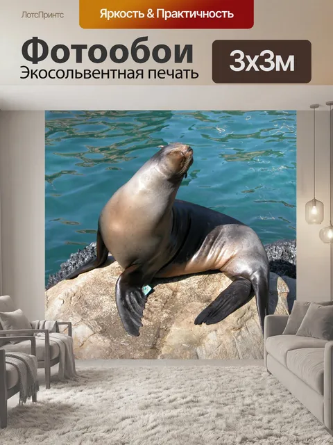 Фотообои Печать на аквариум