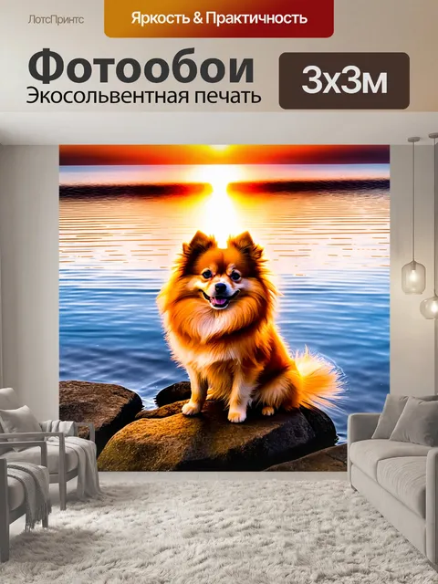 Фотообои померанский шпиц, присевший на камни у озера на закате, отражение ярких цветов неба в воде