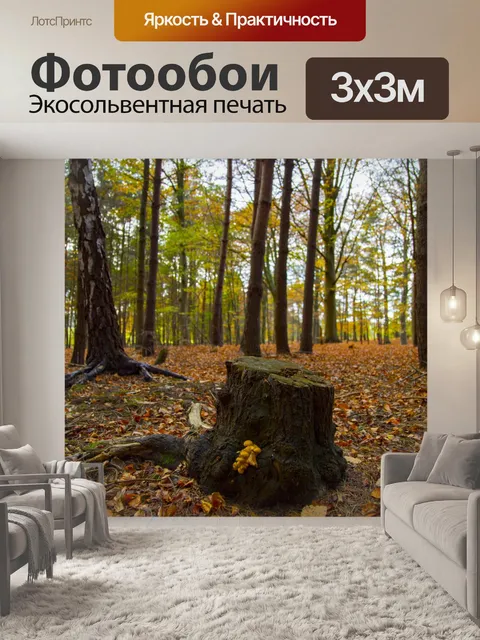 Фотообои Пень