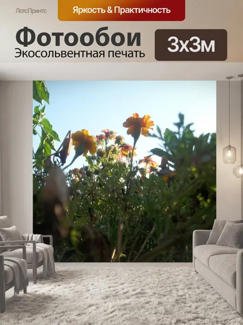 Фотообои Цветы и небо