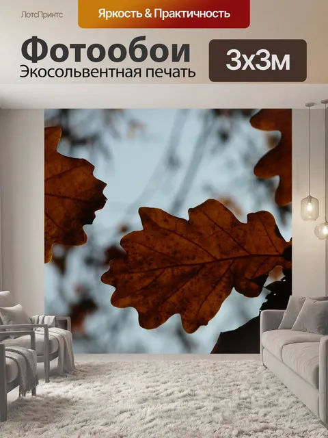 Фотообои Дубовые листья