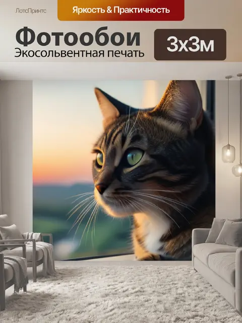 Фотообои котенок, смотрящий на рассвет из окна