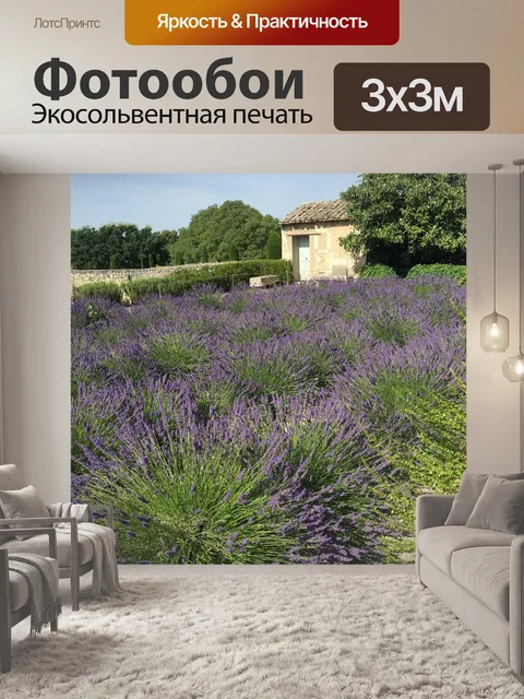 Фотообои Франция