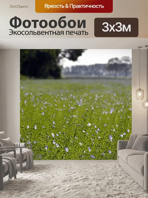 Фотообои Цветы