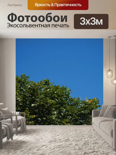 Фотообои вид на часть кроны мыса ясеня