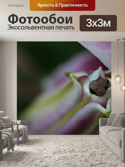 Фотообои Цветок