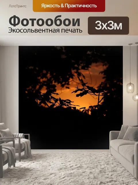 Фотообои Лес