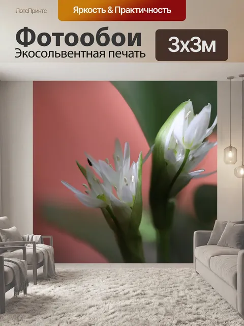 Фотообои Дикий чеснок
