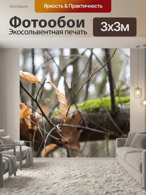 Фотообои Дерево