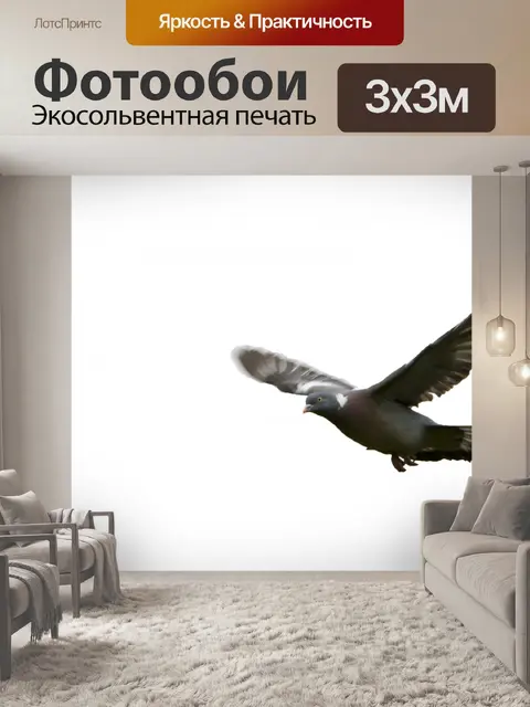 Фотообои Птица Полет белый фон