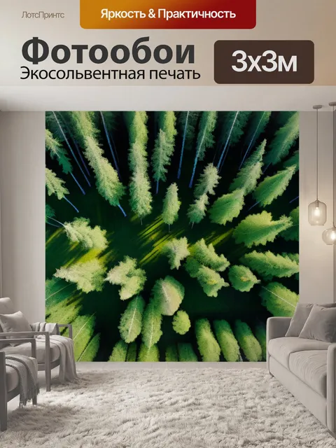 Фотообои пейзаж с березки минимал