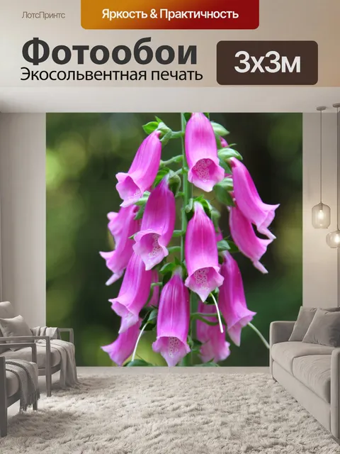 Фотообои Цветок в горах Крконоше