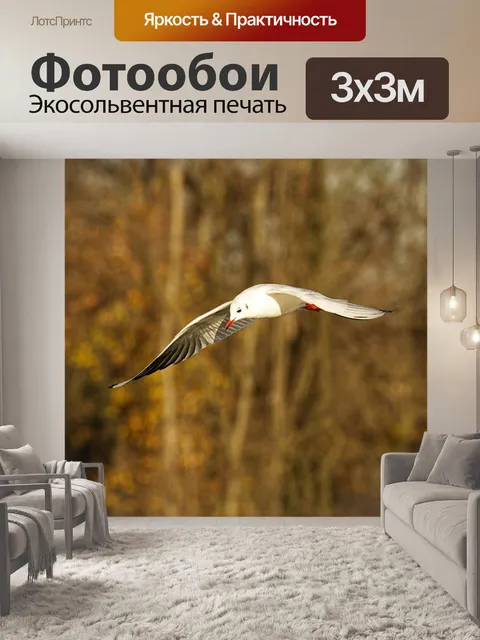 Фотообои Птицы