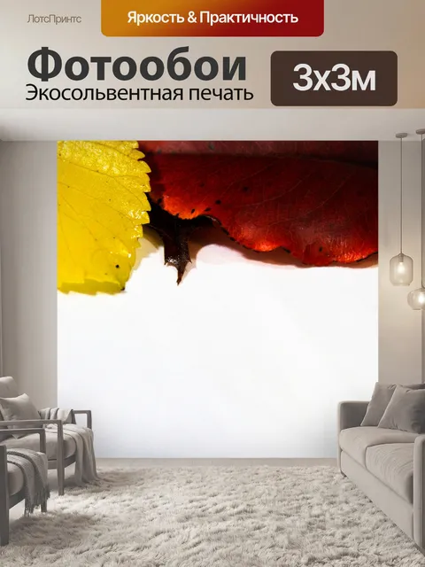 Фотообои Осенние листья границы