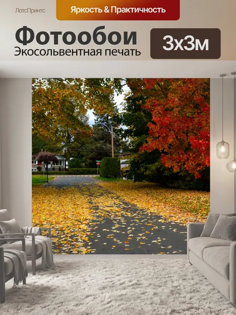 Фотообои Жилой Район Улица