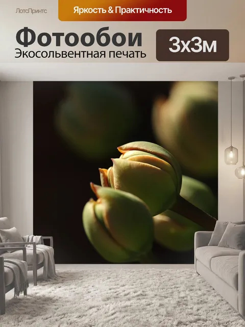 Фотообои Тюльпаны
