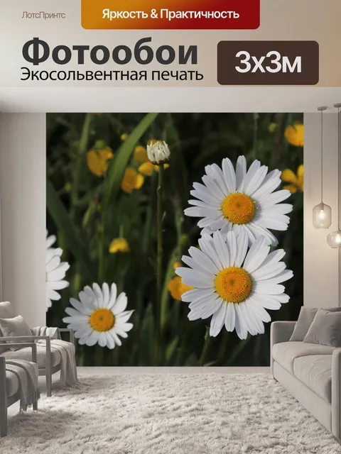 Фотообои Луг