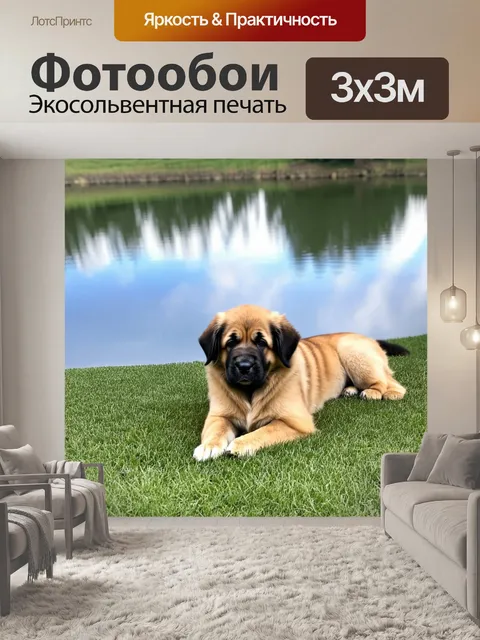 Фотообои щенок леонбергера, лежащий на траве у озера, где отражаются облака и деревья