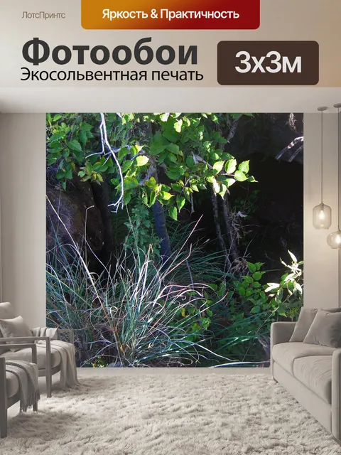 Фотообои открытие в скале за растительностью