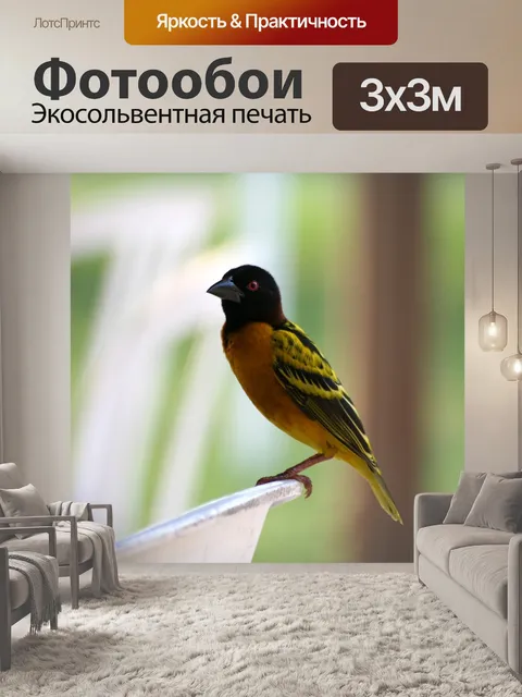 Фотообои Птица
