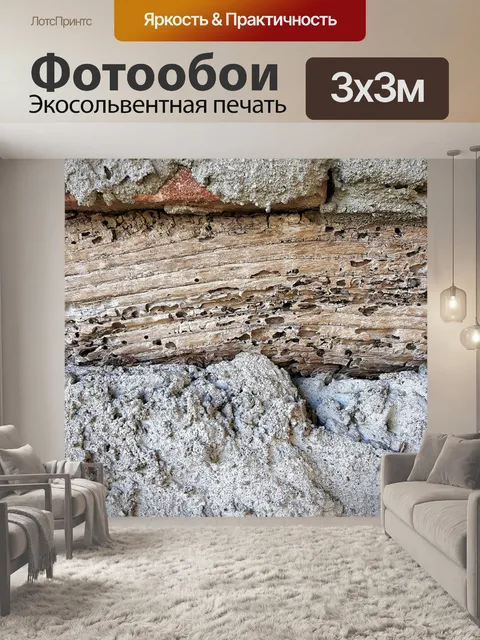 Фотообои Стена