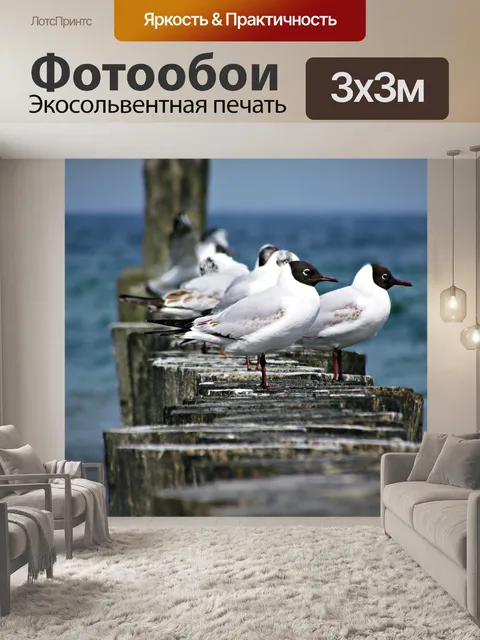 Фотообои Чайка