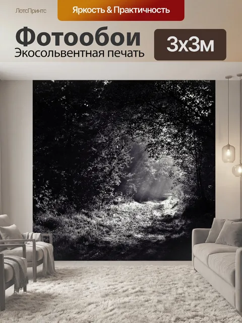 Фотообои Лес