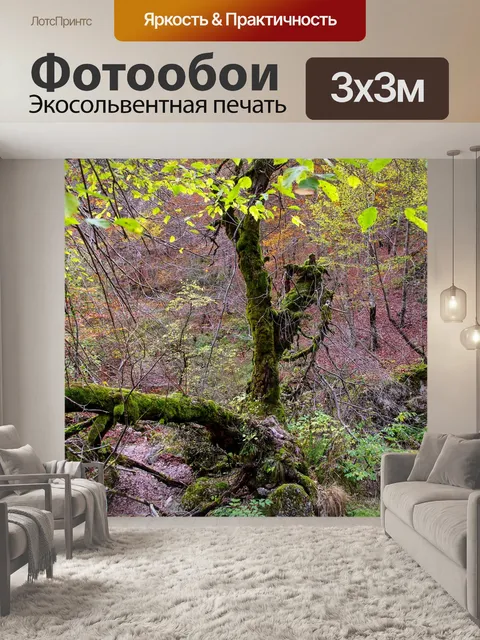 Фотообои Лес