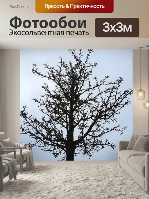 Фотообои Дерево