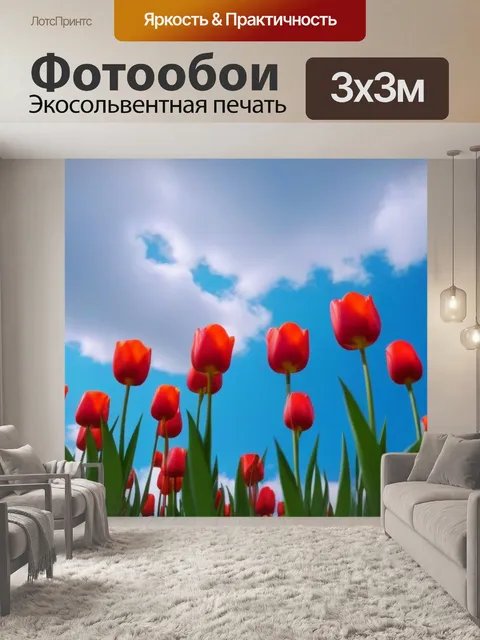 Фотообои тюльпаны на фоне облаков