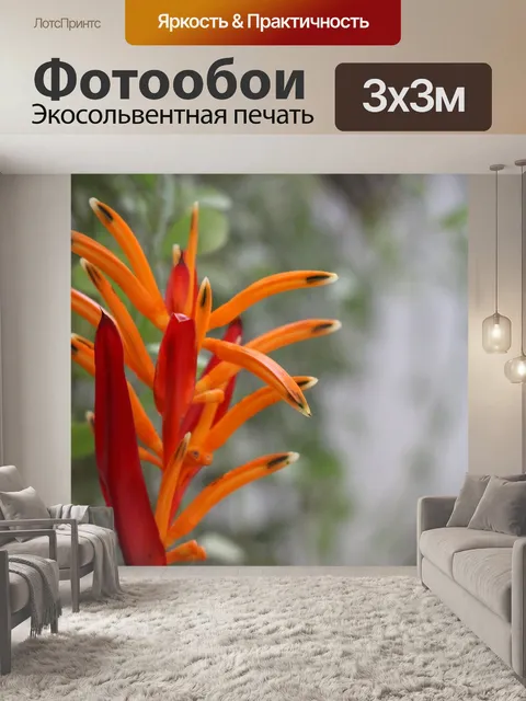 Фотообои Райская птица оранжевый цветок