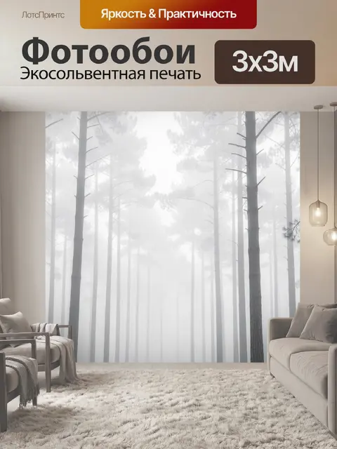 Фотообои Туманный сосновый лес