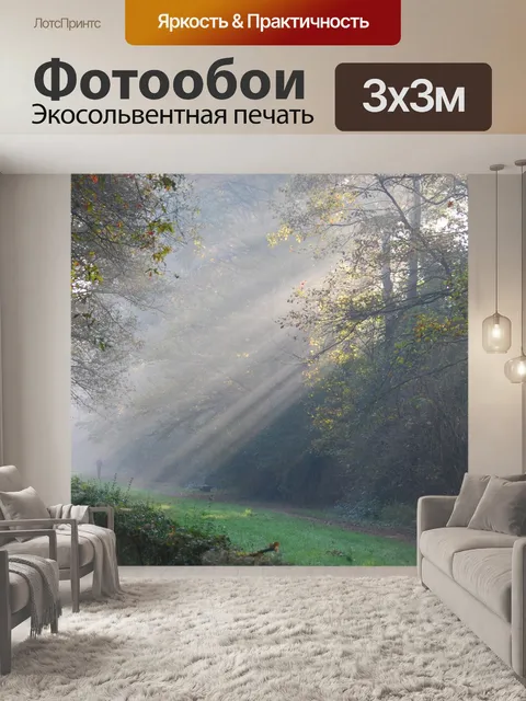 Фотообои Лучи солнца